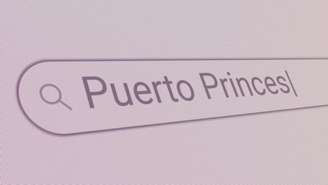 Search Bar Puerto Princesa 
Close Up Single Line Typing Text Box Layout Web Database Browser Engine Concept