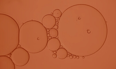 Oil bubble on orange  background.	