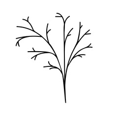 Outline of a tree branch hand drawn. Sketch drawing. Doodle design element.