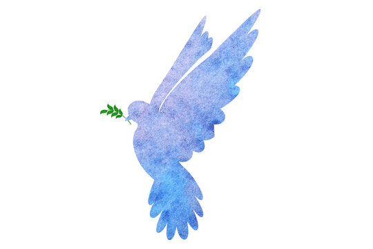 Silhouette of dove holding tree branch drawn with watercolor paint on white background