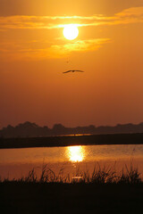 Shiny golden sky reflected in lake water