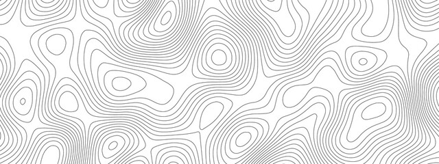 Topographic contour map. Vector cartography illustration. Topography and geography map grid abstract backdrop. Business concept. Fish Fillet Texture, Salmon fillet texture, fish pattern. paper texture