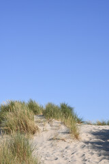 Belgique Flandre cote belge dune sable environnement plage