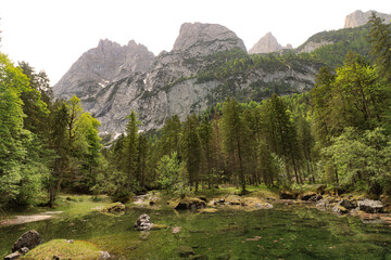 Wildromantische Alpenlandschaft im Gosauseengebiet; Lack`n mit Kopfwand und Adelwand