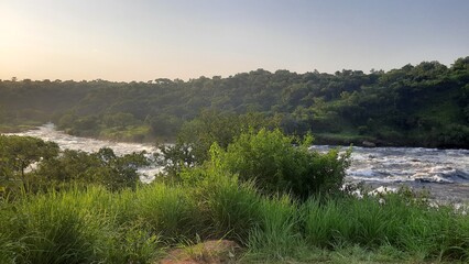 Fototapeta na wymiar Murchison Falls National Park Uganda