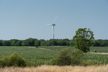Fototapeta na wymiar Wind turbine in the field