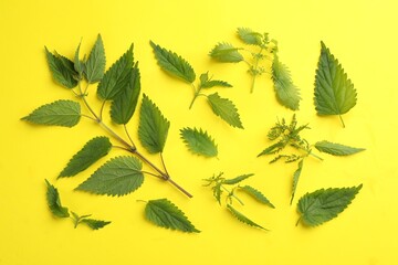 Fresh stinging nettle leaves on yellow background, flat lay