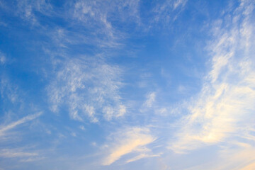 朝の夏の空