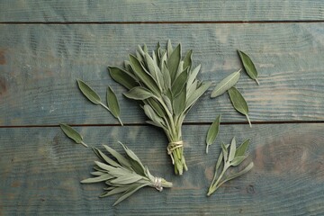 Fresh green sage on light blue wooden table, flat lay