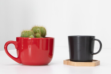 Red coffee mug repurposed as a cactus planter beside a black ceramic cup on a wooden coaster, minimal home decor with green cactus, isolated on white background, creative indoor gardening 