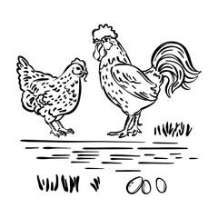 Fototapeta na wymiar HEN COCK And Eggs Symbol Of Holy Easter Holiday Hand Drawn Cartoon Monochrome Picture Farm Characters Poultry Clipart Vector Illustration Set For Print