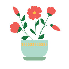 Red flower. House plant in a pot.