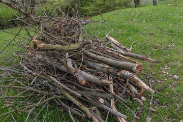 Cut branches stack pile heap mound wood timber
