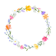 Vector floral wreath illustration. Set of leaves, wildflowers, twigs, floral arrangements. Beautiful compositions of field grass and bright spring flowers.