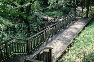 Obraz premium wooden bridge in the park