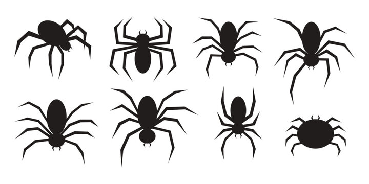 
Vector set of flat silhouetted black spiders isolated on a white background. 