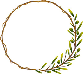 watercolor drawing of olive
branch illustration