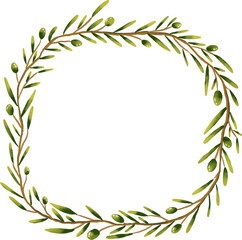 watercolor drawing of olive
branch illustration