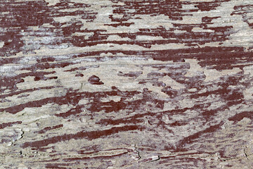 old wood texture background. Old tree with peeling paint.