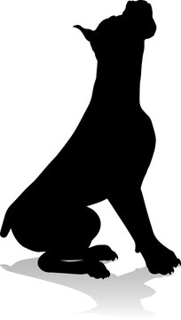 recommend clip art: A detailed animal silhouette of a pet dog
