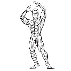 Fototapeta na wymiar Posing bodybuilder, isolated vector silhouette, ink drawing