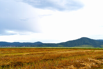 Obraz premium sloping field. field against the backdrop of mountains