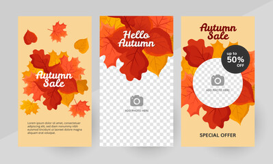 Social media hello autumn template design layout © Tonika