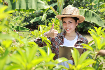 Asian agronomist or woman farmer showing thumb up while reading report and inspecting growing crops data from tablet for increasing productivity in agriculture field, farming with technology concept