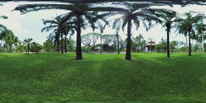 360VR video of Thailand street scene - Lumphini Park - the first public park in Bangkok and Thailand