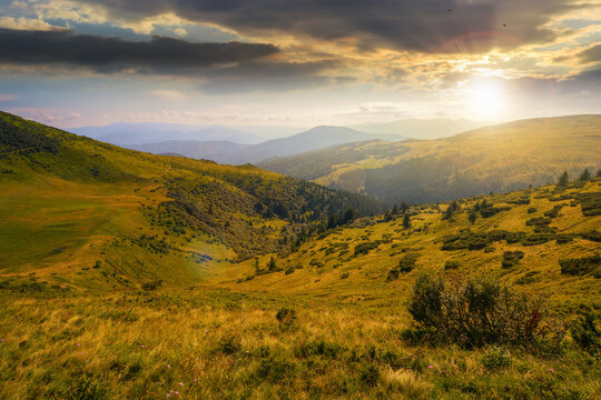 carpathian mountain range in summer at sunset. landscape with forested hills and grassy meadows rolling down in to the valley in evening light. travel ukraine