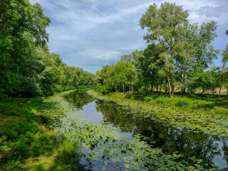 beautiful summer landscape with a river