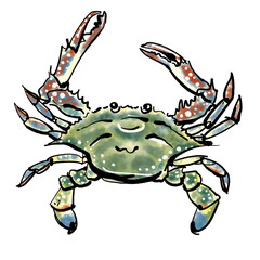 「ガザミ（ワタリガニ）」の手書きイラスト筆書き墨絵風）