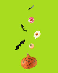 Halloween background with orange pumpkin, black bats, eyeball and pink and white flowers falling against green background.
