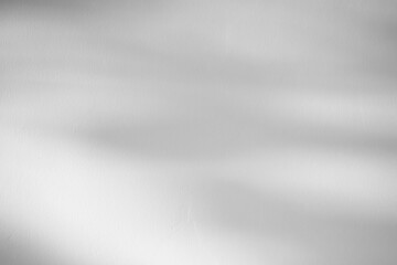 Leaves shadow on concrete wall background