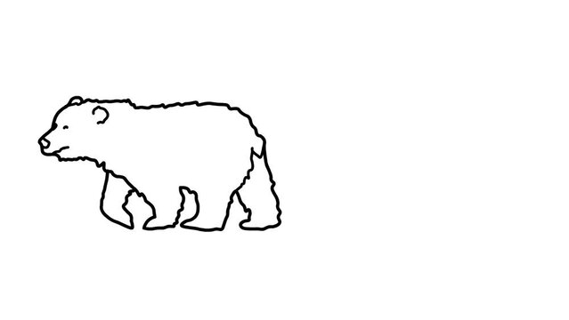 bears Sketch and 2d animated, panda