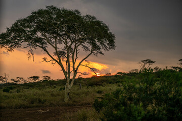 Obraz premium creative