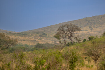 Fototapeta premium creative