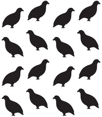 Vector seamless pattern of hand drawn doodle sketch partridge bird silhouette isolated on white background - obrazy, fototapety, plakaty