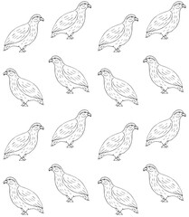Fototapeta na wymiar Vector seamless pattern of hand drawn doodle sketch partridge bird isolated on white background