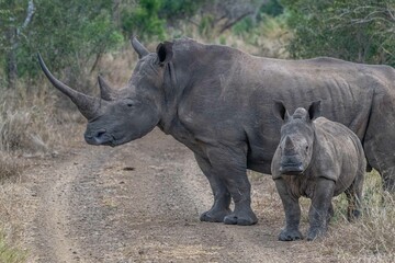 Obraz premium creative