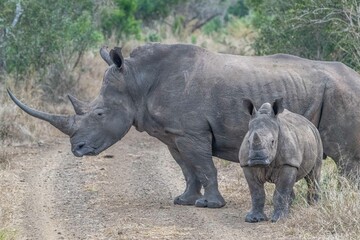 Obraz premium creative