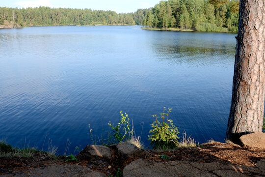 Horizontal photo of a forest lake with calm water on a summer day