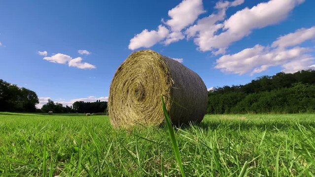 Straw stacks stacked bales of hay left over from harvesting crops, field of an agricultural farm with harvested crops. Landscape of straw bales against setting sun on background