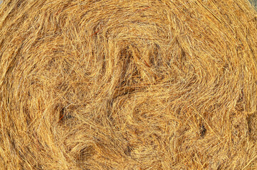 Bales in the field. Hay bales or rolls in agricultural field.