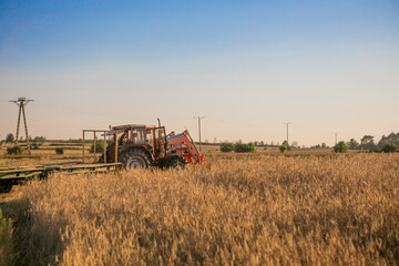 Combine harvester in action on wheat field. Harvesting is the process of gathering a ripe crop from the fields.