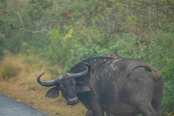 Obraz premium creative