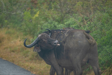 Obraz premium creative