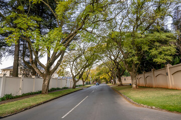 Fototapeta premium creative