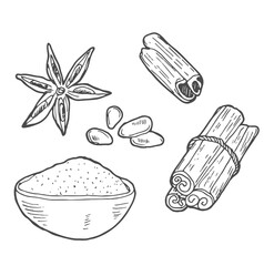 Vector illustration of a square format. Spices. For menus, coffee houses, postcards, print. Cinnamon sticks, star anise, cloves. Lineart on a white background. Banner.