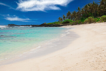 Fototapeta na wymiar Tropical beach with sand, transparent ocean and blue sky of Mauritius